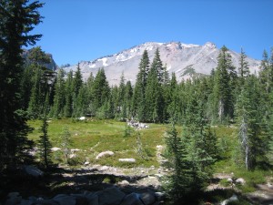 Mt. Shasta Retreat