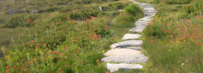 Panther Meadow Path